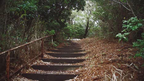 Rusty-staircase-in-a-Japanese-forest-surrounded-by-lush-greenery-and-fallen-leaves