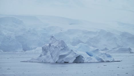 Albatros-Volando-En-Un-Paisaje-De-La-Antártida,-Aves-Marinas-En-Cámara-Lenta-En-Vuelo-Pasando-Junto-A-Icebergs-Y-Un-Glaciar-En-Un-Paisaje-Invernal-Con-Una-Increíble-Y-Hermosa-Escena-Dramática-Cubierta-De-Hielo