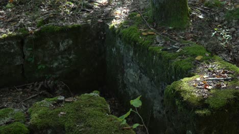 Old-building-foundation-cement,-covered-in-moss,-abandoned-in-forest