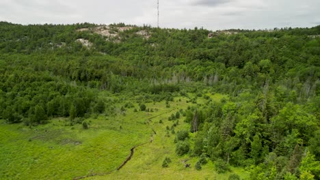 Aerial-view-of-lush-green-meadow-with-rocky-wilderness