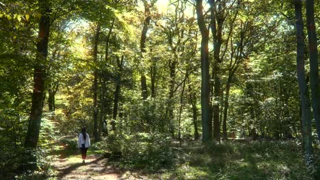 Female-walking-in-dense-forest-light-up-by-sun-rays,-tall-tree-canopy