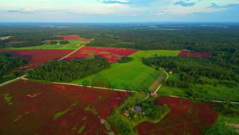 Luftaufnahme-Einer-Sonnigen-Grünen-Landschaft-Mit-Braunen-Schmutzflecken-Per-Drohne