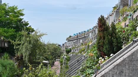 Flats-having-Trees-within-Alexandra-Road-Park,-London,-United-Kingdom