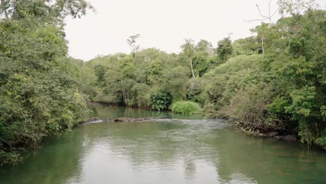 A-calm-river-in-a-subtropical-jungle-with-a-mysterious-atmosphere