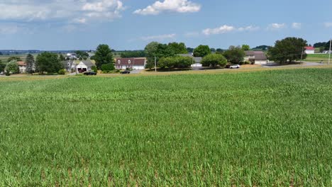 Aerial-lateral-shot-of-grass-field-and-traffic-on-rural-road-during-sunny-day