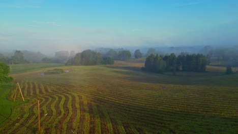 Agriculture-multicolor-stripes-field,-aerial-beautiful-landscape-fog-sky