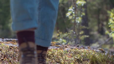 In-Diesem-Ruhigen-Zeitlupenvideo-Sehen-Sie,-Wie-Eine-Junge-Frau-In-Einem-Bezaubernden-Englischen-Wald-An-Der-Südküste-Vorsichtig-Auf-Einen-Moosbedeckten-Baumstamm-Steigt.