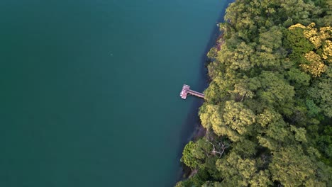 aerial-view-of-a-wooden-jetty-in-the-Parana-River-or-Rio-Parana,-the-second-bigge