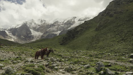 Two-parked-horses-with-snow-mountain-in-the-background-Humantay-Salkantay,-Cusco-Peru