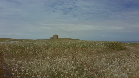 grass-landscape-with-stone-house-and-blue-sky