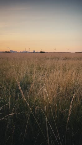 Vista-Vertical-Del-Paisaje-Del-Parque-De-La-Playa-De-Amager-En-Copenhague-Al-Atardecer