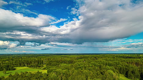 Sommersonne-Mit-Bewölktem-Himmel-über-Dichtem-Walddickicht