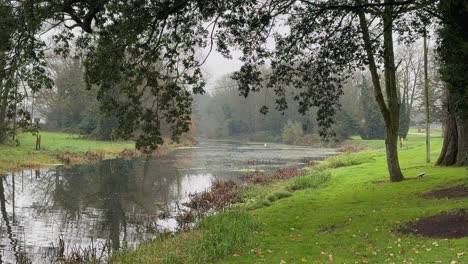 Foggy-haze-in-tranquil-scene-with-countryside-pond-in-mature-forest