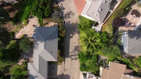 Drone-top-down-rises-alongside-of-palm-tree-to-reveal-suburban-neighborhood-with-large-homes-in-Los-Angeles-California