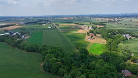 Aerial-wide-shot-of-forest-trees,-farm-fields,-farm-house-and-cultivation-in-american-countryside