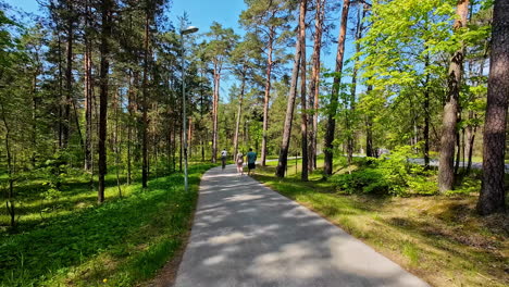 POV-shot-of-a-cyclist-at-park-during-daytime