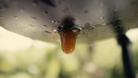 Close-up-of-a-slow-dripping-Robusta-coffee-maker-in-Vietnam