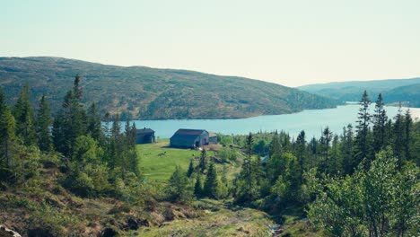 Cabins-Near-Scenic-Fjord-In-Indre-Fosen,-Norway---Wide-Shot