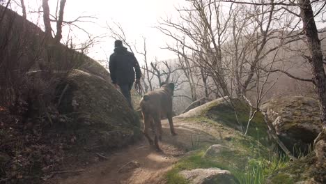 Sigue-A-Nuestro-Gran-Perro-Boxer-Mientras-Caminamos-Por-Las-Impresionantes-Montañas-Rocosas,-Explorando-Senderos-Escarpados-Y-Disfrutando-Juntos-De-La-Belleza-De-La-Naturaleza.