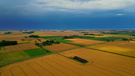 Wheat-field,-agriculture-farm-land-with-crop-growing,-aerial-time-lapse