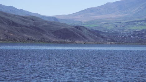 Bird-flying-over-the-lake-with-mountains-in-the-background