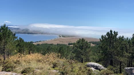 Blick-Auf-Weiße-Wolken,-Die-Tagsüber-Langsam-über-Land-Mit-Hohen-Bäumen-Ziehen