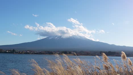 Lago-Kawaguchiko-Con-Pasto-De-Trigo-Dorado-Al-Frente-Y-El-Monte-Fuji-Al-Fondo,-Cielo-Azul-Claro-De-Japón