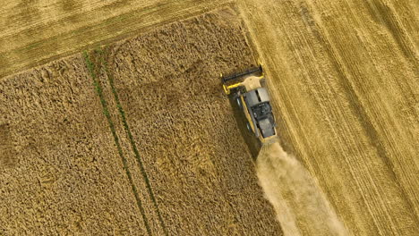 Top-down-view-of-combine-harvester-cutting-wheat,-harvesting-crops-on-a-sunny-day