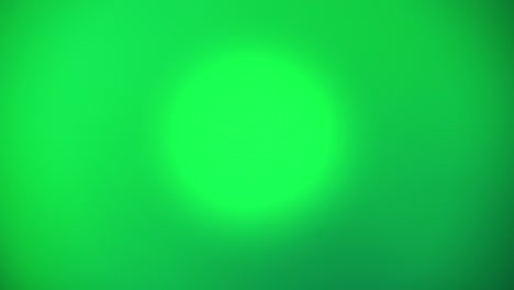 Spot-Green-Screen-Background-Video