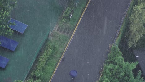 Vista-Desde-Arriba-De-Una-Persona-Caminando-Por-Una-Calle-Empapada-Por-La-Lluvia-Con-Un-Paraguas-Azul,-Junto-A-Una-Cancha-Deportiva-Verde-Y-árboles.