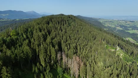 üppiger-Grüner-Wald-Bedeckt-Hügel-In-Wildspitz,-Oberägeri,-Schweiz,-Luftaufnahme