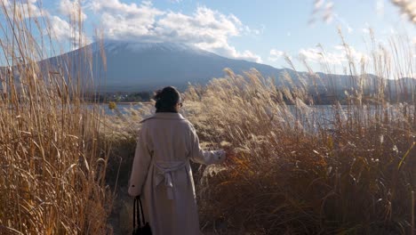 Mujer-Paseando-Por-Un-Campo-De-Trigo-Con-El-Monte-Fuji-Al-Fondo-En-Japón