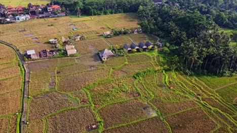 Glamping-Pods-amid-Green-Fields-and-rural-Nature-of-Ubud-Bali,-Drone-View