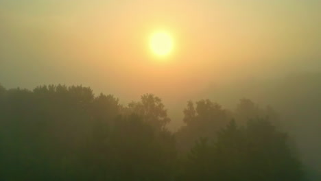 Aerial-view-low-over-forest,-toward-a-hazy-morning-sun