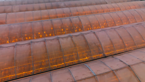 Aerial-tracking-shot-large-greenhouse-roofs,-glowing-on-a-winter-evening