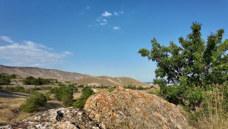 A-tranquil-moment-unfolds-in-Crimea,-showcasing-rugged-rocks,-vibrant-greenery,-and-distant-hills-beneath-a-clear-sky