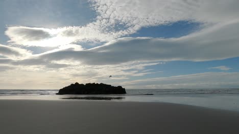 Seagull-lands-on-large-rock-at-water's-edge-before-high-cumulus-clouds-and-blue-sky-in-winter---Sumner-Beach,-Christchurch,-New-Zealand