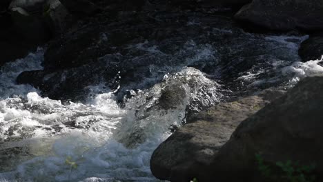 Static-shot-of-a-swift-stream-colliding-with-a-large-rock,-generating-abundant-foam