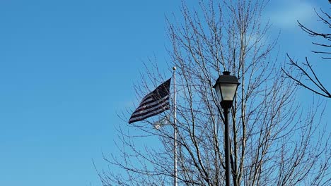 Aufnahmen-Einer-Amerikanischen-Flagge,-Die-Neben-Einer-Straßenlaterne-Und-Kahlen-Bäumen-Unter-Einem-Klaren-Blauen-Himmel-Weht