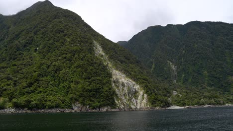 Massive-avalanche-of-trees-cascading-down-a-cliff-in-Milford-Sound,-New-Zealand