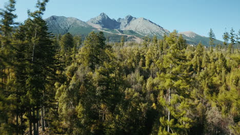 Aerial-drone-flyover-of-trees-getting-closer-to-the-mountains-in-the-High-Tatras,-showcasing-lush-green-summer-trees-and-hills-in-Slovakia,-Europe