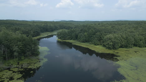 Drohne-Steigt-In-Die-Umlaufbahn-Und-Enthüllt-Lichtung-Im-Seewasser-Zwischen-Überwucherung-Mit-Wasserkastanien-In-Waldgebiet,-Lake-Fitzgerald,-Northampton,-Massachusetts