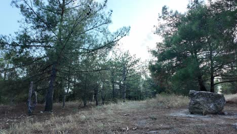 A-serene-view-showcases-the-lush-pine-trees-and-rocky-formations-characteristic-of-the-Crimean-landscape