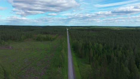 Lone-car-driving-along-straight-long-tarmac-forest-road