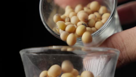 Pouring-soybeans-from-a-glass-cup-in-slow-motion-with-a-black-background