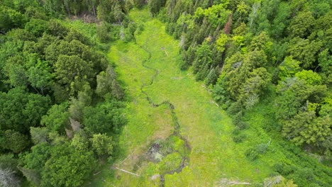 Aerial-descent-view-of-meandering-river-along-lush-green-forested-meadow