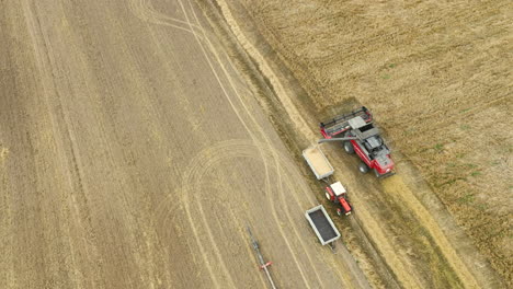 Vista-Aérea-De-Una-Cosechadora-Roja-Y-Un-Tractor-Durante-La-Cosecha-En-Un-Campo-Vasto-Y-Seco,-Que-Muestra-Una-Operación-Agrícola-Bien-Coordinada-Con-Vehículos-Y-Equipos-De-Apoyo.