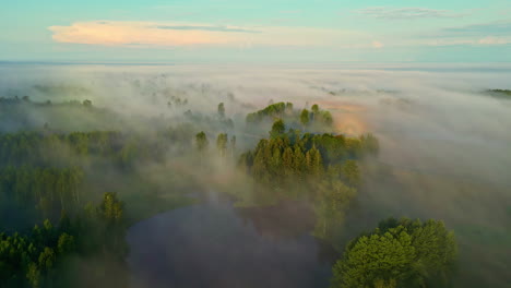 Niebla-Sobre-Bosque-Brumoso,-Paisaje-Panorámico-De-Naturaleza-Brumosa-Aérea,-Paisaje-Rural