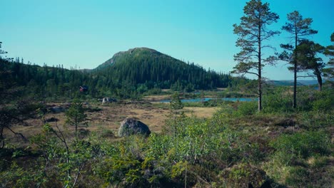 Nature-Landscape-With-Hill-And-Lake-In-Indre-Fosen,-Norway---Wide-Shot