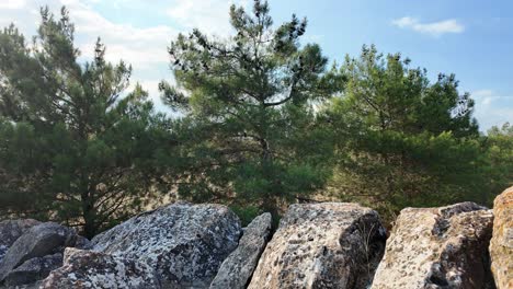 Sea-Testigo-De-Las-Impresionantes-Vistas-De-La-Vibrante-Vegetación-Y-Las-Majestuosas-Rocas-De-Crimea-Bajo-Un-Cielo-Sereno.